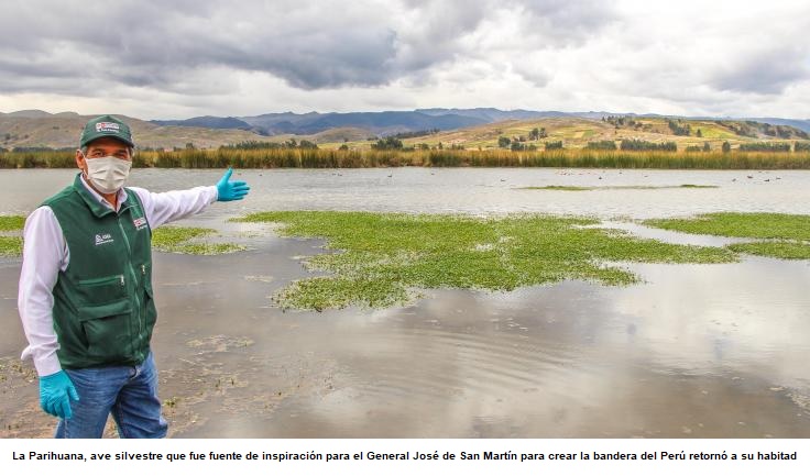 El renacer de la naturaleza en la laguna Chocón - Junín