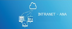INTRANET1.jpg