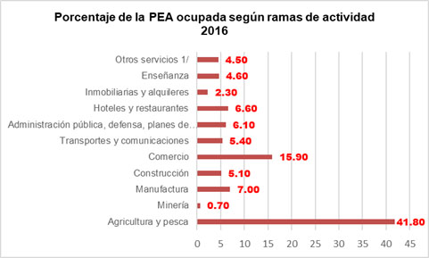 Porcentaje PEA 2016