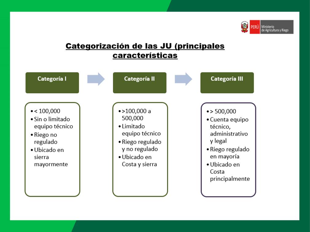 CATEGORIZACION