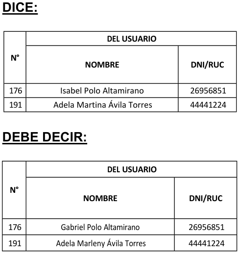 RectificacionRD967-2024
